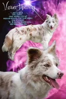 processed/0474db67-185f-4ca9-a496-c271d7e16b43/facility/14ccf0dc-8511-4ed3-acdc-c444eb00ee14