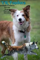 processed/0474db67-185f-4ca9-a496-c271d7e16b43/facility/476b7932-50e9-44b7-aba4-8c33f0e86677