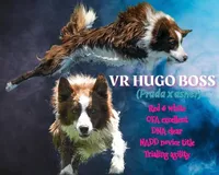 processed/0474db67-185f-4ca9-a496-c271d7e16b43/facility/67d3b3ad-a326-4b45-ba3d-733ebabc2ee5