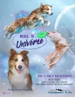 processed/0474db67-185f-4ca9-a496-c271d7e16b43/facility/7fd93297-e93a-41bb-aa8d-7126a01e177e