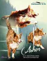 processed/0474db67-185f-4ca9-a496-c271d7e16b43/facility/c6f65fc7-5986-4d75-a272-b58eb0a9d399