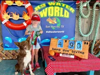Red white female abca, a female Border Collie for sale in Comfort, TX – 2 of 5