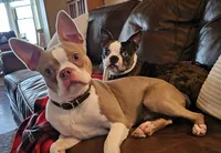 processed/047c4ac0-fe74-47fe-984c-9fe97118bbde/facility/1ee296af-5c12-43c2-9ff8-ae5ec27c1668