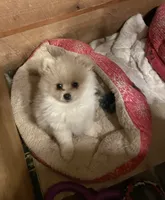 processed/04841e18-edf9-434d-9956-a2db6053b1c0/listing/2d33d07a-c9f1-4511-a021-c47a447e6130/07a9bf4c-82dc-4111-aa58-17d24d22db85