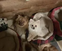 processed/04841e18-edf9-434d-9956-a2db6053b1c0/listing/2d33d07a-c9f1-4511-a021-c47a447e6130/6b23fd6f-3c94-46af-bafa-5b2a47be3c18