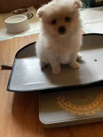 processed/04841e18-edf9-434d-9956-a2db6053b1c0/listing/2d33d07a-c9f1-4511-a021-c47a447e6130/965b9a79-b3dd-4fd4-ae52-7700758b7feb