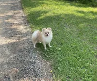 processed/04841e18-edf9-434d-9956-a2db6053b1c0/listing/2d33d07a-c9f1-4511-a021-c47a447e6130/eab95a0e-d16b-43db-90af-38a0030689b3