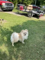 processed/04841e18-edf9-434d-9956-a2db6053b1c0/listing/2d33d07a-c9f1-4511-a021-c47a447e6130/fb463e40-92c7-44ce-95ae-d580a6963113