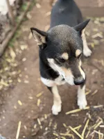 processed/04841e18-edf9-434d-9956-a2db6053b1c0/listing/6aa27957-ac69-45ca-91fa-61a6ee482b8f/673d81a1-7e27-4d4b-920d-d849b470f90e