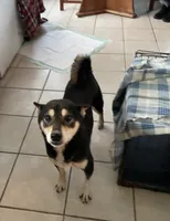 processed/04841e18-edf9-434d-9956-a2db6053b1c0/listing/6aa27957-ac69-45ca-91fa-61a6ee482b8f/c8b80553-5e50-430a-9ac9-d82e939ed830