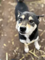 processed/04841e18-edf9-434d-9956-a2db6053b1c0/listing/6aa27957-ac69-45ca-91fa-61a6ee482b8f/e582d7c1-791d-4afb-818f-6f469a3e6f21