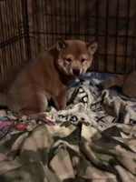 processed/04841e18-edf9-434d-9956-a2db6053b1c0/listing/70e9f01e-cc17-4aa5-bb4a-bf2efeaf6ca7/268f4b9a-bc45-4cdc-9fcb-c54541f64ff3