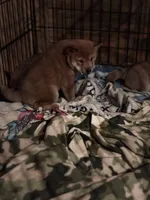 processed/04841e18-edf9-434d-9956-a2db6053b1c0/listing/70e9f01e-cc17-4aa5-bb4a-bf2efeaf6ca7/6badbac2-97c3-48ad-a17b-d6ad2597dec9