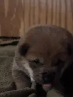 processed/04841e18-edf9-434d-9956-a2db6053b1c0/listing/70e9f01e-cc17-4aa5-bb4a-bf2efeaf6ca7/c7bed7b5-af9c-47c4-8dcc-9cb6ba63e250