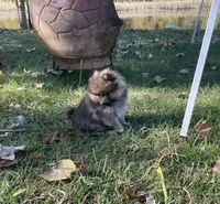 processed/04841e18-edf9-434d-9956-a2db6053b1c0/listing/b4d3d2aa-3bfe-4fe0-8646-ba6f728aa7ee/0828b63e-d8fb-4bc0-b5ee-da95d4fcbdd1