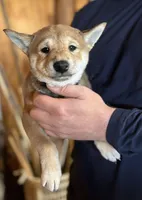 processed/04841e18-edf9-434d-9956-a2db6053b1c0/listing/e671dd1c-5689-4fed-acb8-e78c72a6aa29/d2e77754-051d-4763-82f2-4278a84e4c25