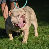 processed/0484353a-2fef-42ee-bddd-75b0646aeb4a/facility/b35ae4eb-8c2c-42b1-a7fc-90c60a481aa6