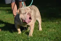 processed/0484353a-2fef-42ee-bddd-75b0646aeb4a/facility/b35ae4eb-8c2c-42b1-a7fc-90c60a481aa6