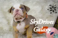 processed/0484353a-2fef-42ee-bddd-75b0646aeb4a/listing/85eae278-1a16-49b4-96b0-36eb780b52f5/1dbe730f-7555-4a77-822b-7a3fe4378065