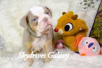 processed/0484353a-2fef-42ee-bddd-75b0646aeb4a/listing/85eae278-1a16-49b4-96b0-36eb780b52f5/36bfbe89-479c-4aef-8ab4-b17c49dbd5d2