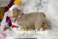 processed/0484353a-2fef-42ee-bddd-75b0646aeb4a/listing/85eae278-1a16-49b4-96b0-36eb780b52f5/4a35fe02-8641-426c-b262-a677dc1cf9e7