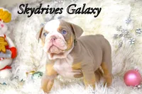 processed/0484353a-2fef-42ee-bddd-75b0646aeb4a/listing/85eae278-1a16-49b4-96b0-36eb780b52f5/bd23508c-3fcc-4478-abd0-6b9f5b55879f