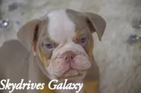 processed/0484353a-2fef-42ee-bddd-75b0646aeb4a/listing/85eae278-1a16-49b4-96b0-36eb780b52f5/caed3710-3e31-4fdd-b6b6-c94d36c080c1