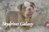 processed/0484353a-2fef-42ee-bddd-75b0646aeb4a/listing/85eae278-1a16-49b4-96b0-36eb780b52f5/e4d078a3-1f8e-4260-a6c5-e38bb994f344