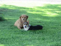 processed/048d8e28-f060-4bf9-9b93-9c62db852d17/facility/805ceee9-5836-486d-a614-84cfb6a19970