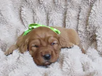 processed/048d8e28-f060-4bf9-9b93-9c62db852d17/listing/3a31e921-9be4-4411-92ac-a2d631c75b61/0037ad6b-0dc6-48a3-9026-97eeaea0ccab