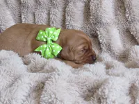 processed/048d8e28-f060-4bf9-9b93-9c62db852d17/listing/3a31e921-9be4-4411-92ac-a2d631c75b61/af741b60-cb1f-436b-828a-3f0aa31a266a