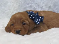 processed/048d8e28-f060-4bf9-9b93-9c62db852d17/listing/dbfba9a9-72f3-4667-a336-b23ef7eba0b4/148bccc9-2cea-400d-9fc2-664ddcb07454