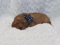 processed/048d8e28-f060-4bf9-9b93-9c62db852d17/listing/dbfba9a9-72f3-4667-a336-b23ef7eba0b4/3f413826-5469-4249-951a-d2f2560da0f2