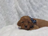 processed/048d8e28-f060-4bf9-9b93-9c62db852d17/listing/dbfba9a9-72f3-4667-a336-b23ef7eba0b4/c3aa0215-28f8-4576-959b-8f72cdd199af