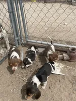 processed/04920530-2a9e-4d9b-a786-e0d703f6a3fd/facility/60d204cb-9795-431d-9f8c-52148252ff3d