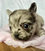 processed/04981f49-a1b5-41a5-b8f1-60f81cb0e45c/listing/6ef6b159-6a53-48de-a319-b70db6f2a7f4/1c33de67-dc7d-43d4-94d3-522fe4722cb5