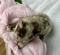 processed/04981f49-a1b5-41a5-b8f1-60f81cb0e45c/listing/6ef6b159-6a53-48de-a319-b70db6f2a7f4/b9164473-3e46-4683-9fe2-eb976d50b348