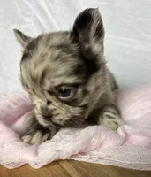 processed/04981f49-a1b5-41a5-b8f1-60f81cb0e45c/listing/6ef6b159-6a53-48de-a319-b70db6f2a7f4/c76b9daa-1905-4bb9-95c6-972adc351bb4