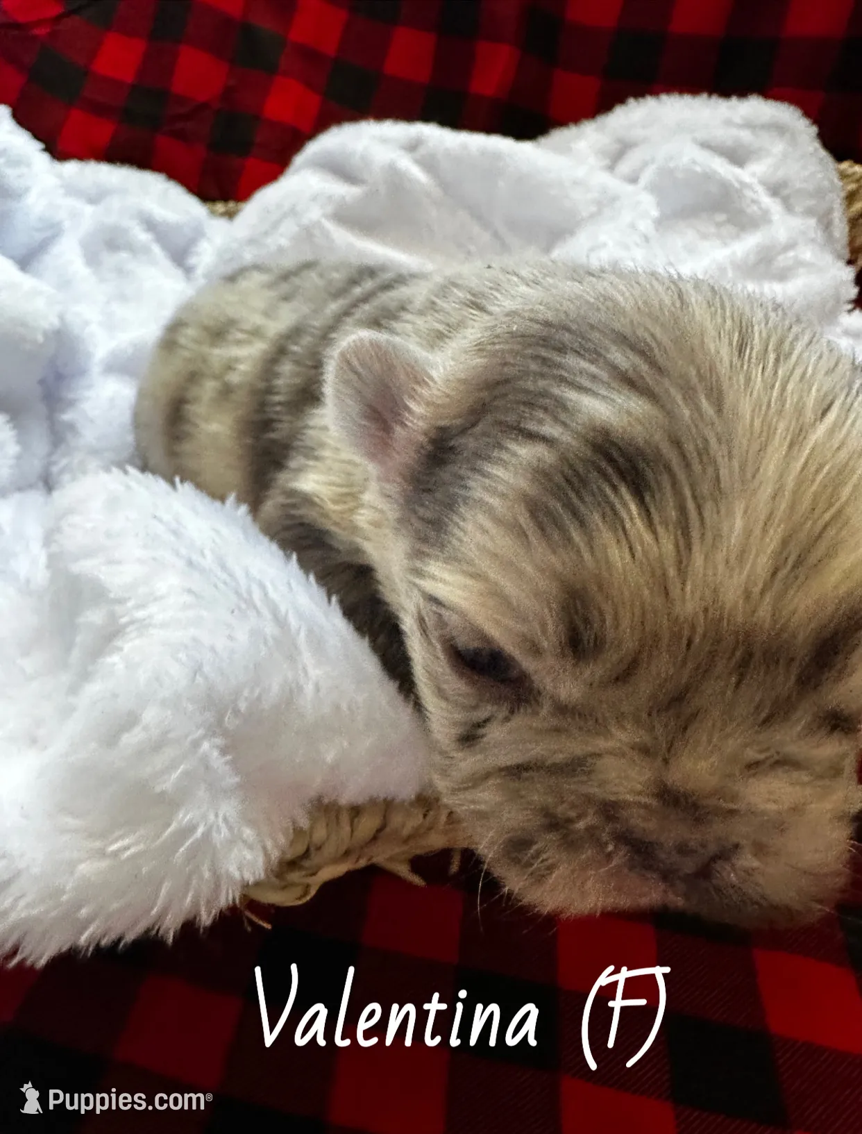 processed/04981f49-a1b5-41a5-b8f1-60f81cb0e45c/listing/6ef6b159-6a53-48de-a319-b70db6f2a7f4/eb879e02-1a4c-46bf-a9cc-665b1fc5ced5