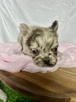 processed/04981f49-a1b5-41a5-b8f1-60f81cb0e45c/listing/6ef6b159-6a53-48de-a319-b70db6f2a7f4/f39c1779-0a60-4ef1-a2eb-5d9d51a7cde5