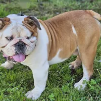 processed/04ac11f0-d7f3-4554-b950-66af861c0c84/facility/003f574d-eb95-4c96-82e9-1b860d69cbba