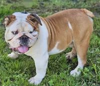 processed/04ac11f0-d7f3-4554-b950-66af861c0c84/facility/003f574d-eb95-4c96-82e9-1b860d69cbba