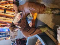 Hawkeye, a male Dachshund and Miniature Dachshund for sale in Keota, OK – Photo 8 of 8