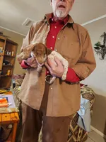 Sabastion, a male Dachshund for sale in Keota, OK – Photo 4 of 4