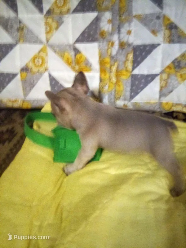 Breezy/special price