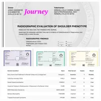 Muk, a male Border Collie for sale in Avilla, IN – Photo 2 of 10