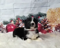 processed/04c82a37-a531-4cde-a3e2-c7fba5eafc81/listing/47da0b58-cd8b-4ca3-afc3-1fa7e284aa6b/1fd3da99-6113-47a4-a374-dee6645f25df