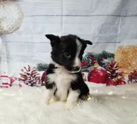 processed/04c82a37-a531-4cde-a3e2-c7fba5eafc81/listing/47da0b58-cd8b-4ca3-afc3-1fa7e284aa6b/7c945bbb-a0c8-4a36-a06c-505a71ff6376