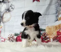 processed/04c82a37-a531-4cde-a3e2-c7fba5eafc81/listing/47da0b58-cd8b-4ca3-afc3-1fa7e284aa6b/89fbe2fc-9c4e-4a81-a2c8-4c17b7b33486