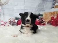 processed/04c82a37-a531-4cde-a3e2-c7fba5eafc81/listing/47da0b58-cd8b-4ca3-afc3-1fa7e284aa6b/a1d24a37-afa1-4ebd-948f-8352642b0f1f